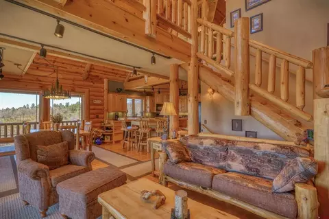 Living - 1001 Soaring Eagle Ct, Chromo, CO 81128 photo 1 of 3