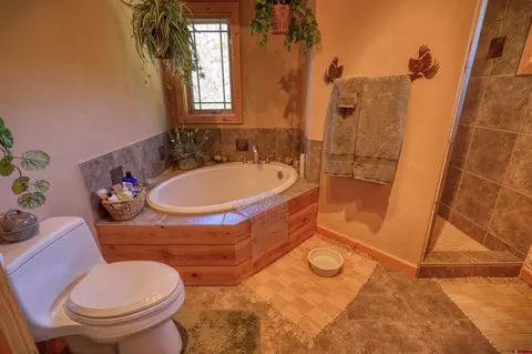 Bath - 1001 Soaring Eagle Ct, Chromo, CO 81128 photo 1 of 3
