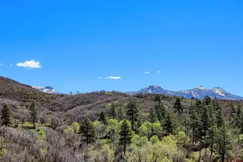 Other - 1001 Soaring Eagle Ct, Chromo, CO 81128 photo 3 of 11