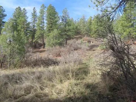 313 Cool Pines Dr, Pagosa Springs, CO 81147