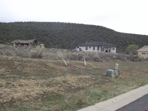 735 SE Pinyon St, Cedaredge, CO 81413 photo 3