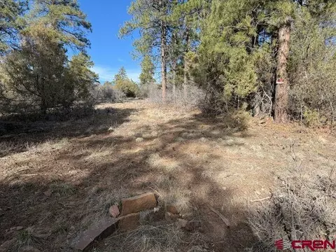 495 Justins Dr, Pagosa Springs, CO 81147