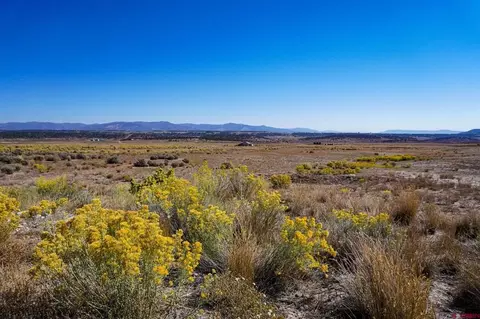 tbd Wp County Road 319, Ignacio, CO 81137 photo 2