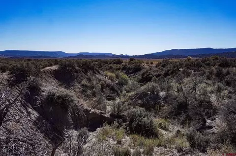tbd Wp County Road 319, Ignacio, CO 81137 photo 10