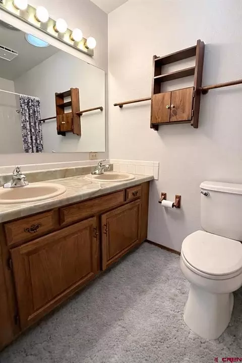 Bath - 675 Veinte Dr, Delta, CO 81416 photo 3 of 4