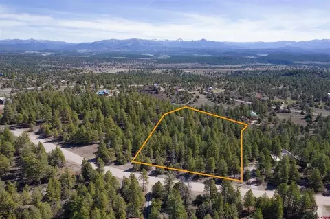 352 Blanca Pl, Pagosa Springs, CO 81147