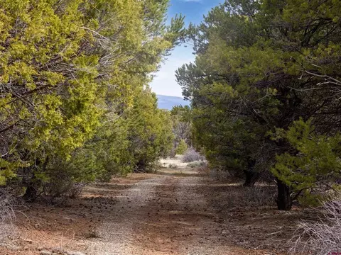 tbd 43zs, Norwood, CO 81423