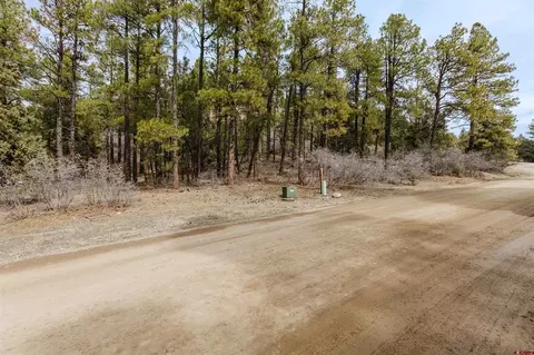 25 Woodland Dr, Pagosa Springs, CO 81147
