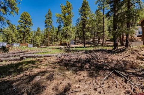 171 Snowbird Ct, Bayfield, CO 81122