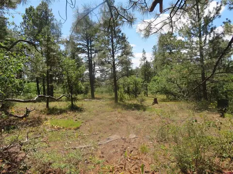 142 Rimview Rd, Pagosa Springs, CO 81147