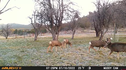 Other - 3115 Cr 973, Ignacio, CO 81137 photo 18 of 21