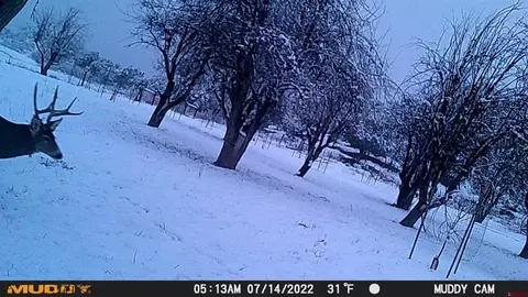 Other - 3115 Cr 973, Ignacio, CO 81137 photo 20 of 21