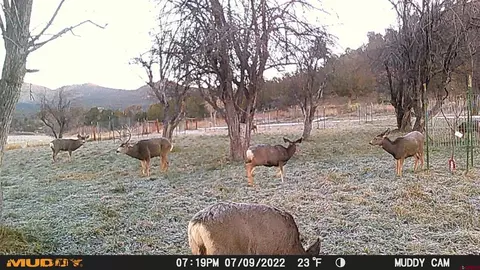 Exterior - 3115 Cr 973, Ignacio, CO 81137 photo 8 of 8