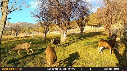 Exterior - 3115 Cr 973, Ignacio, CO 81137 photo 7 of 8