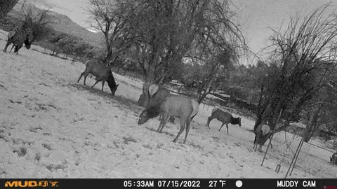 Other - 3115 Cr 973, Ignacio, CO 81137 photo 21 of 21