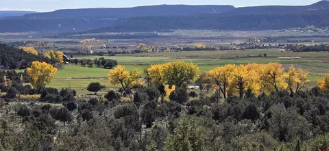 View/Area - 3115 Cr 973, Ignacio, CO 81137 photo 3 of 3
