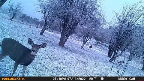 Other - 3115 Cr 973, Ignacio, CO 81137 photo 15 of 21