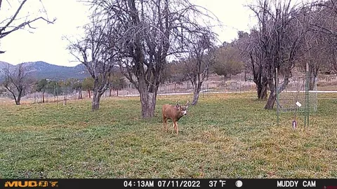 Other - 3115 Cr 973, Ignacio, CO 81137 photo 19 of 21