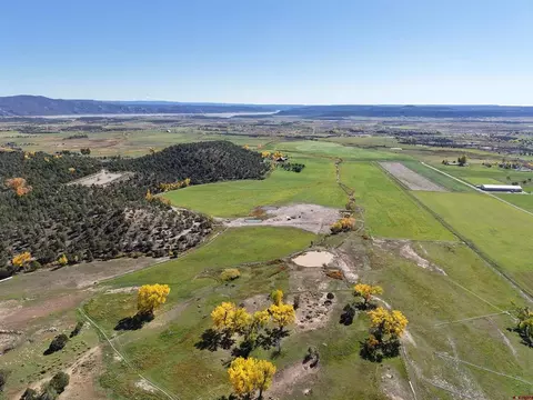 View/Area - 3115 Cr 973, Ignacio, CO 81137 photo 1 of 3
