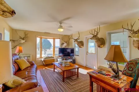 Living - 3115 Cr 973, Ignacio, CO 81137 photo 2 of 4