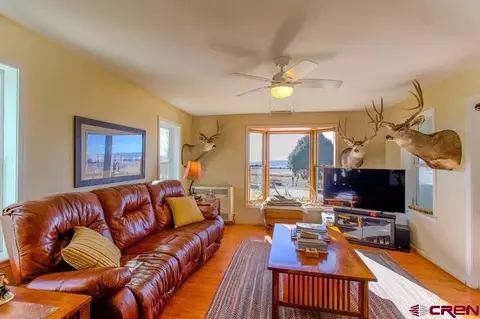 Living - 3115 Cr 973, Ignacio, CO 81137 photo 3 of 4