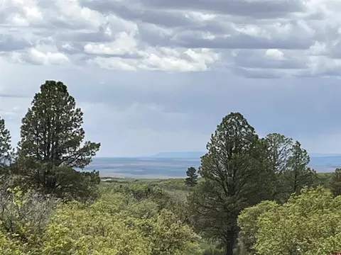 lot25 Road 94, Dove Creek, CO 81324