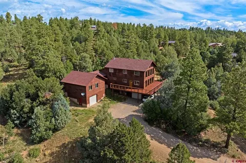 199 Logging Trail Rd, Durango, CO 81301