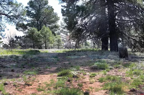 492 Prospect Blvd, Pagosa Springs, CO 81147