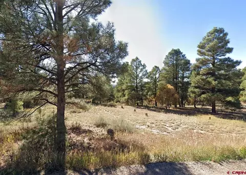 454 Prospect Blvd, Pagosa Springs, CO 81147