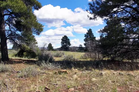 444 Prospect Blvd, Pagosa Springs, CO 81147