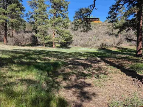 541 Blue Jay Cir, Pagosa Springs, CO 81147