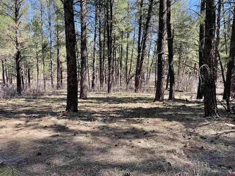 97 Daves Pl, Pagosa Springs, CO 81147