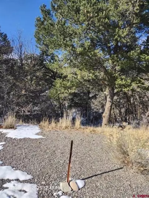 tbd Windom Ln, Montrose, CO 81401
