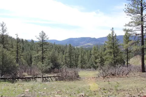 881 Ironwood Dr, Pagosa Springs, CO 81147