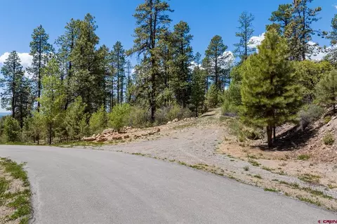 2511 Taylor Ranch Rd, Durango, CO 81301 photo 6