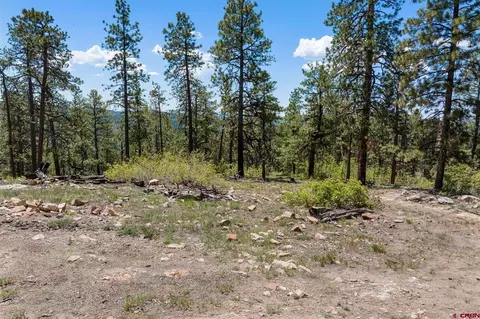 2511 Taylor Ranch Rd, Durango, CO 81301 photo 9