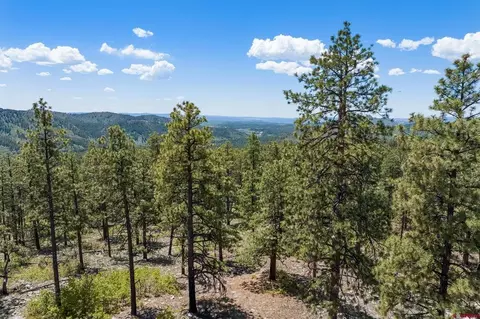 2511 Taylor Ranch Rd, Durango, CO 81301 photo 11
