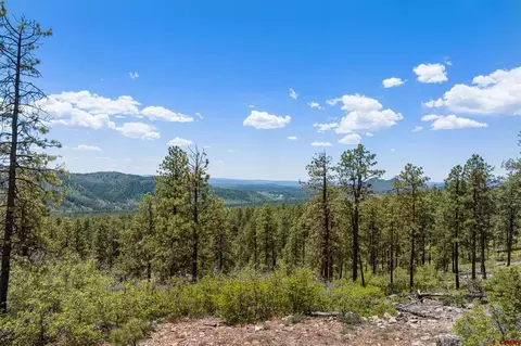2511 Taylor Ranch Rd, Durango, CO 81301 photo 20