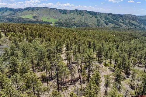 2511 Taylor Ranch Rd, Durango, CO 81301 photo 15