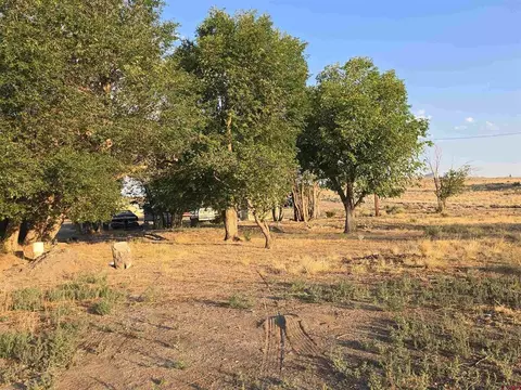 1035 8th St, Del Norte, CO 81132