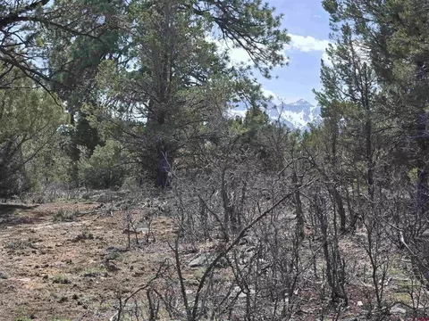 tbd Cottontail Ln, Ridgway, CO 81432