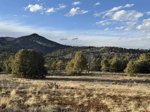 Other - 1050 Turkey Trot Ln, Durango, CO 81301 photo 2 of 11