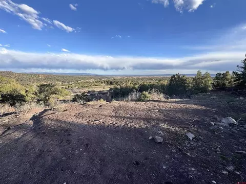 View/Area - 1050 Turkey Trot Ln, Durango, CO 81301 photo 5 of 9