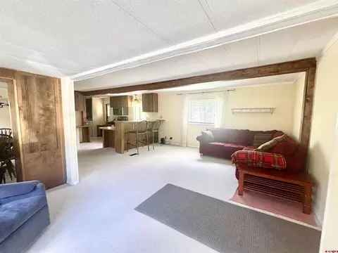 Living - 485 Florida Rd #B8, Durango, CO 81301 photo 2 of 2