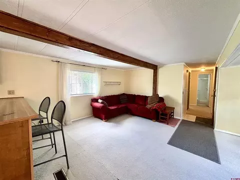 Living - 485 Florida Rd #B8, Durango, CO 81301 photo 1 of 2