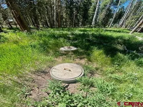1772 Spruce Rd, Cimarron, CO 81220 photo 10