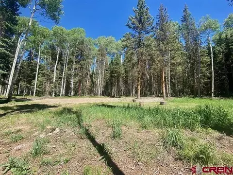 1772 Spruce Rd, Cimarron, CO 81220 photo 4