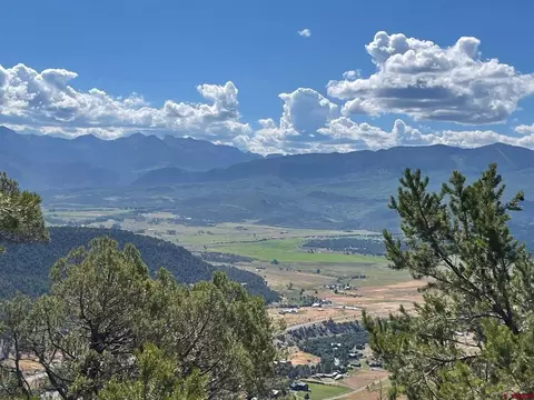 tbd Pine Dr, Ridgway, CO 81432