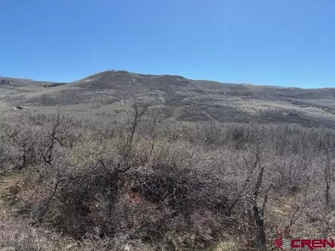20636 3100 Rd, Hotchkiss, CO 81419