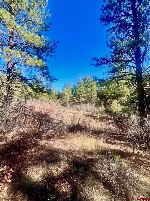 152 Lane Dr, Durango, CO 81303